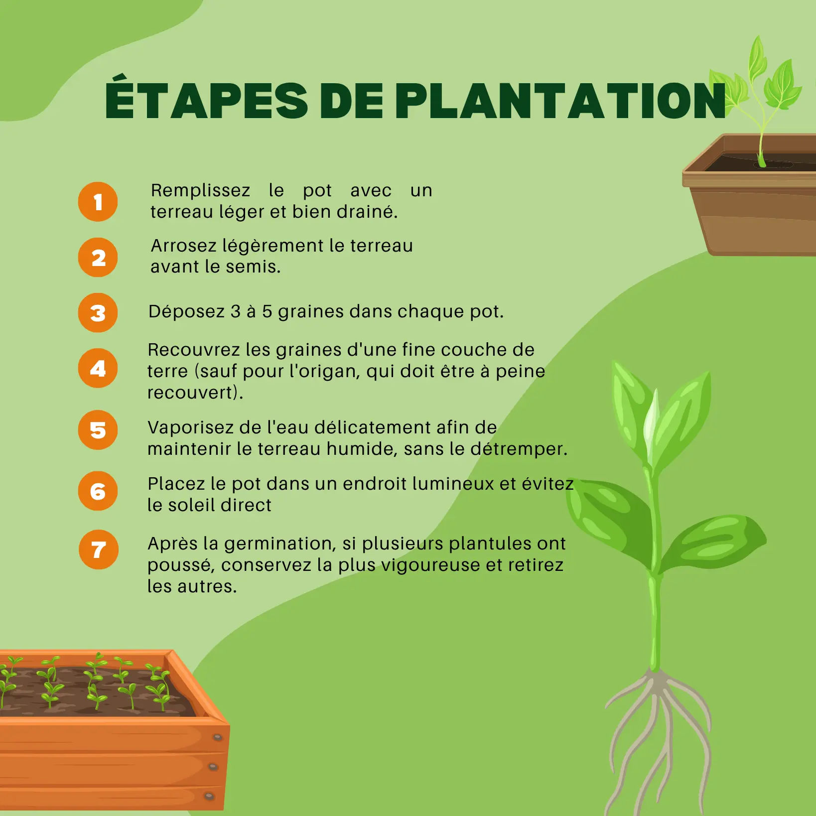 Pot Rêve