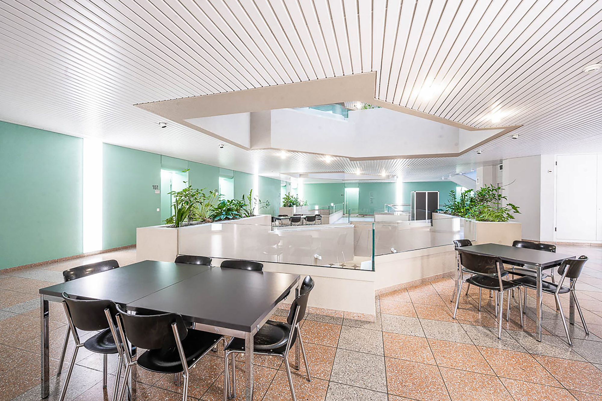 Die Lernumgebung der Akademie St. Gallen mit zwei Tischen und rundherum sind grüne Pflanzen Die Lernumgebung der Akademie St. Gallen mit zwei Tischen und rundherum sind grüne Pflanzen