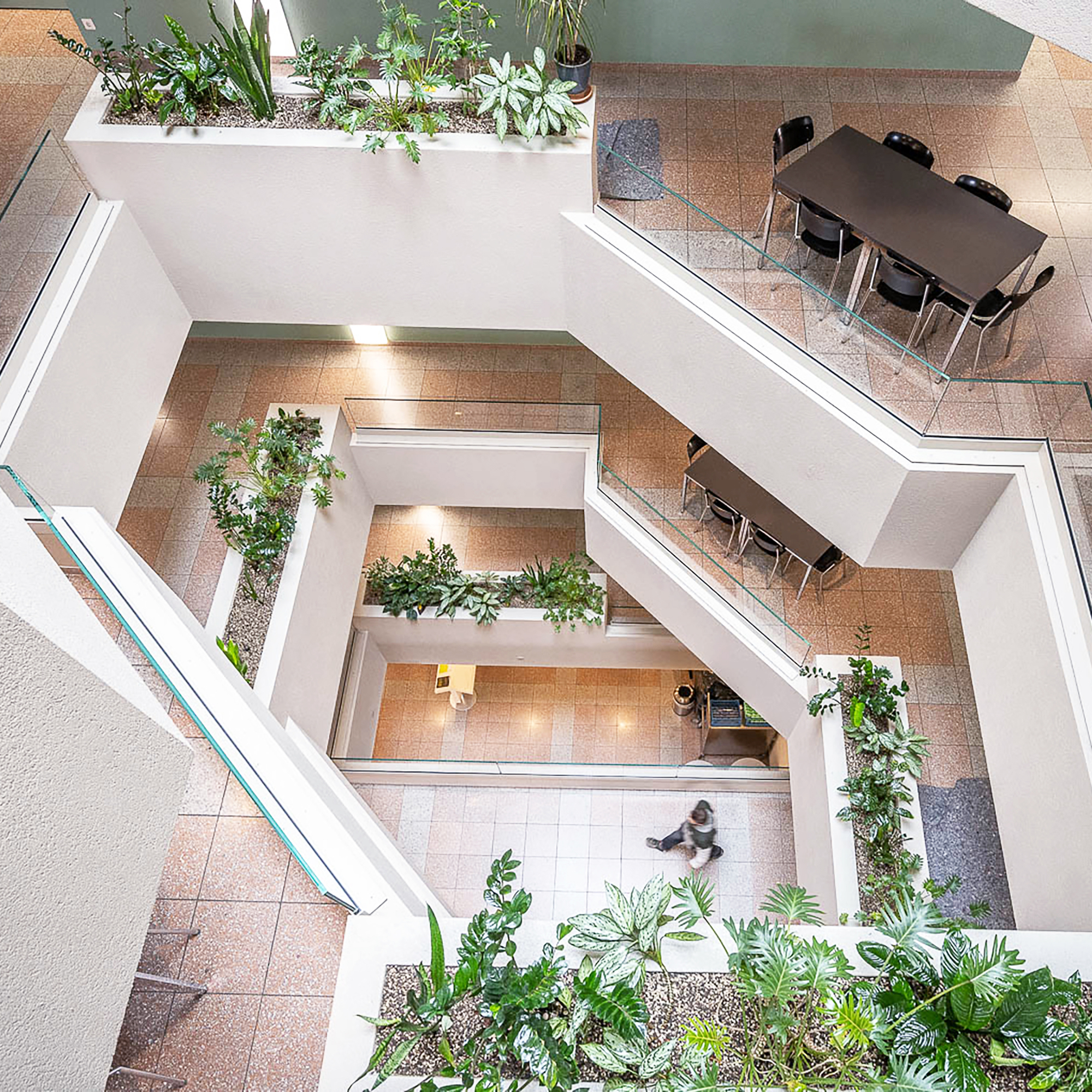 Ein Foto welches vom 5. Stock der Akademie St. Gallen geschossen wurde und die grünen Pflanzen zeigt Ein Foto welches vom 5. Stock der Akademie St. Gallen geschossen wurde und die grünen Pflanzen zeigt