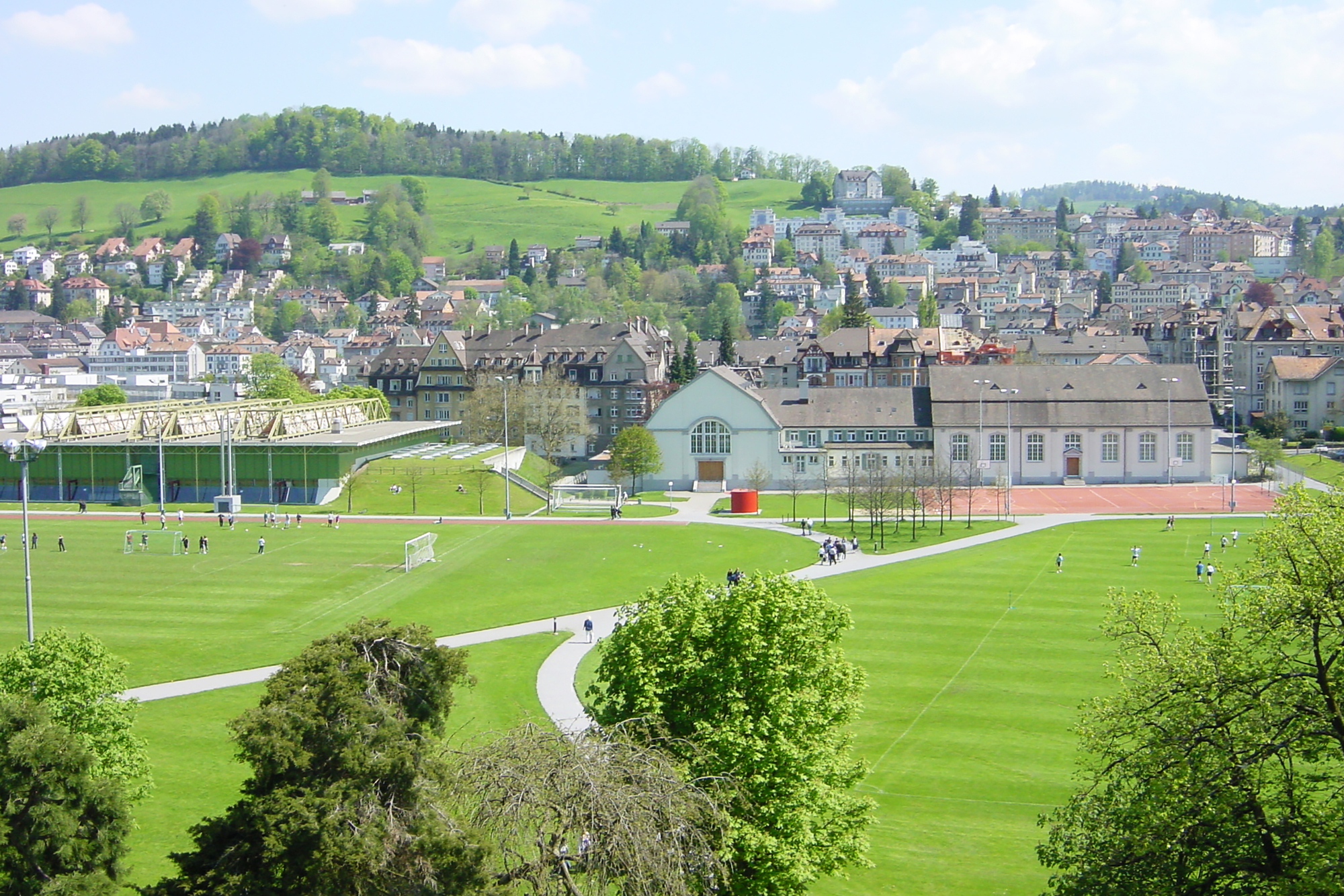 Ansicht des Kreuzbleicheparks mit ganz viel grüner Wiese und grünen Bäumen