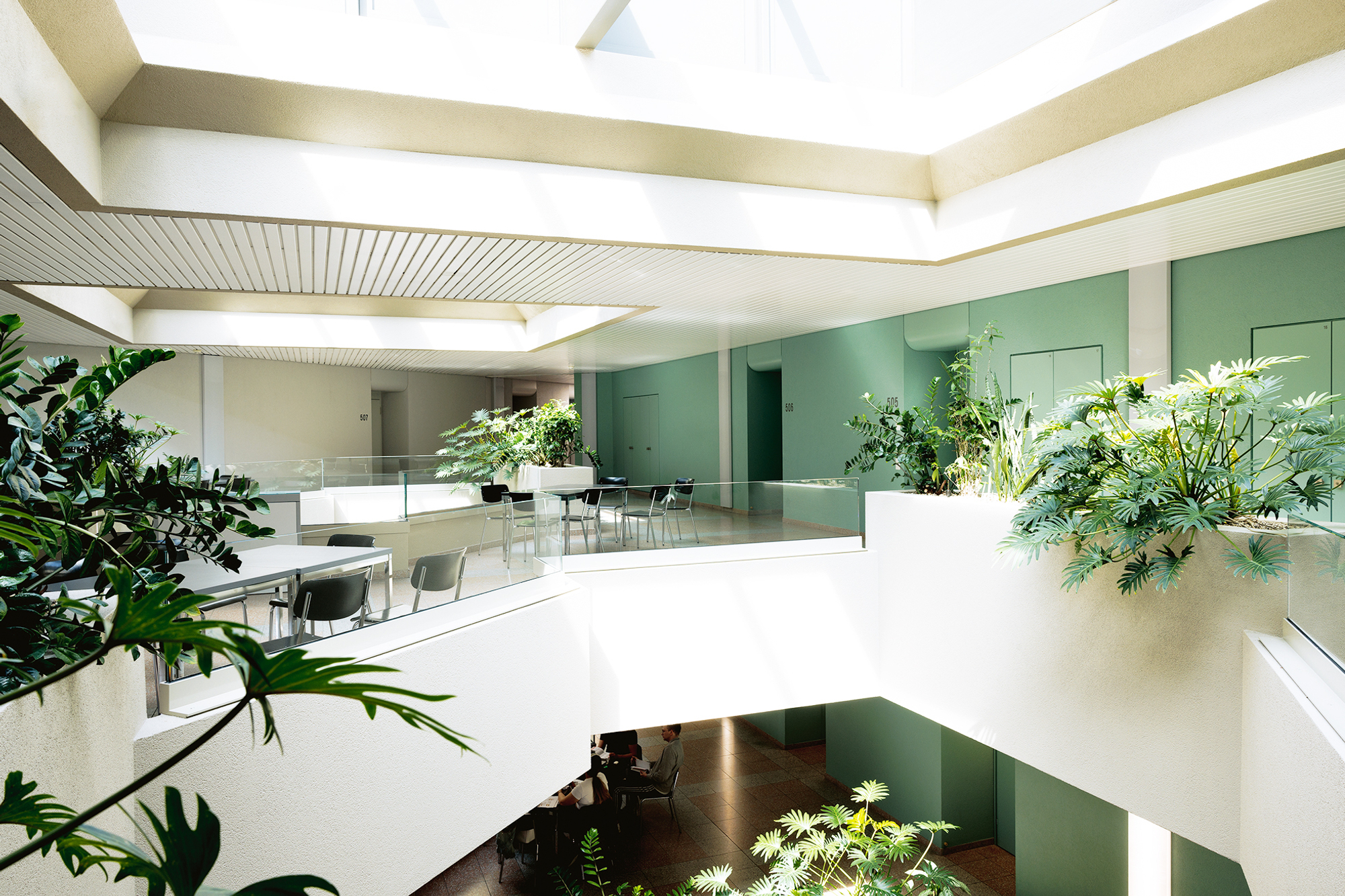 Ansicht der Innenräume im 5. Stock der Akademie St. Gallen mit vielen grünen Pflanzen