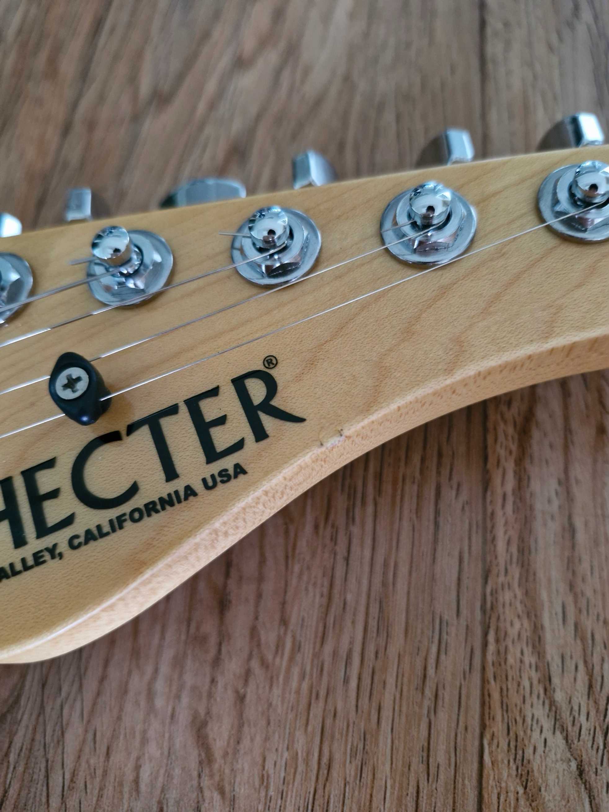 Schecter--4