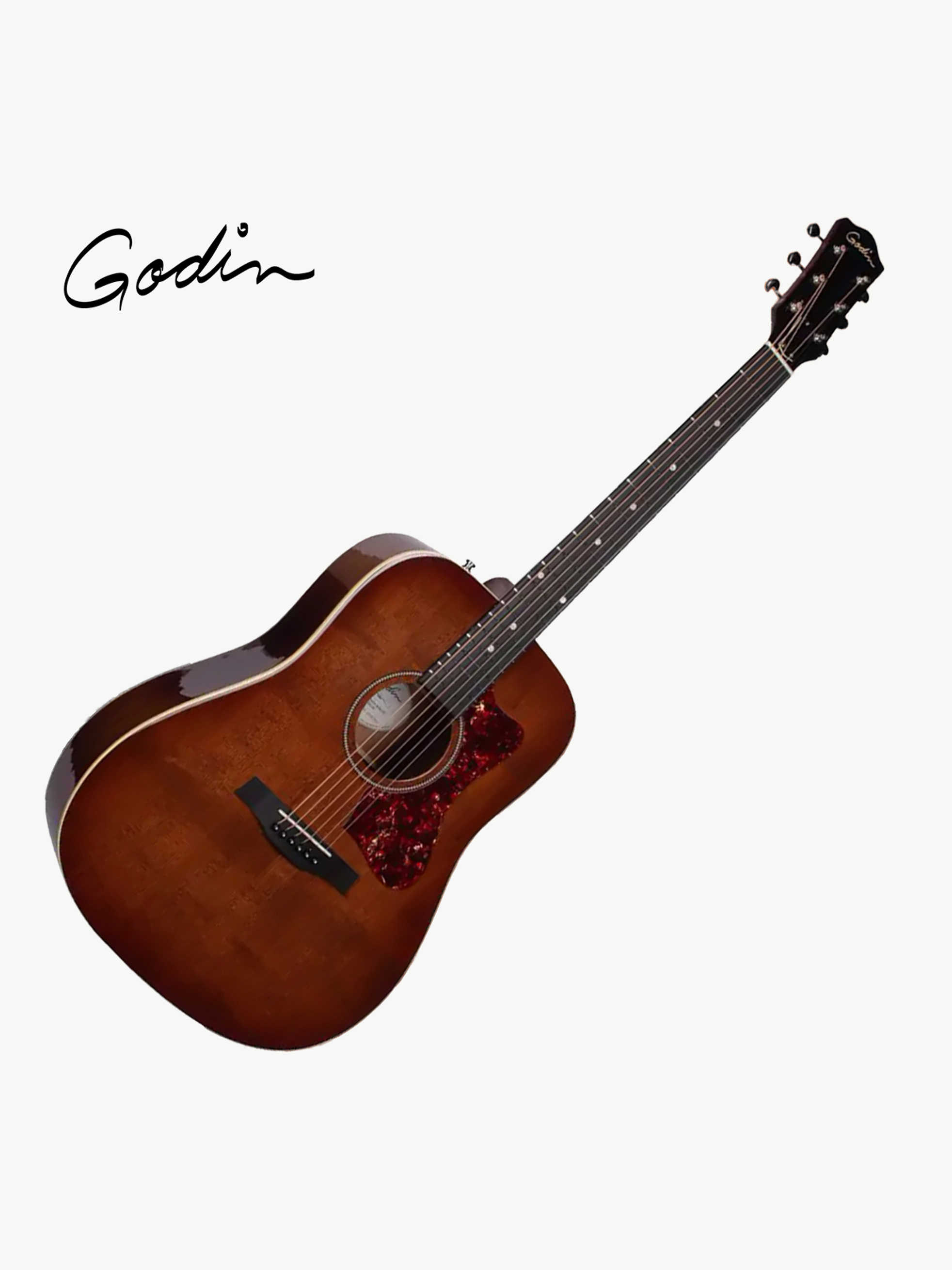 Godin--1
