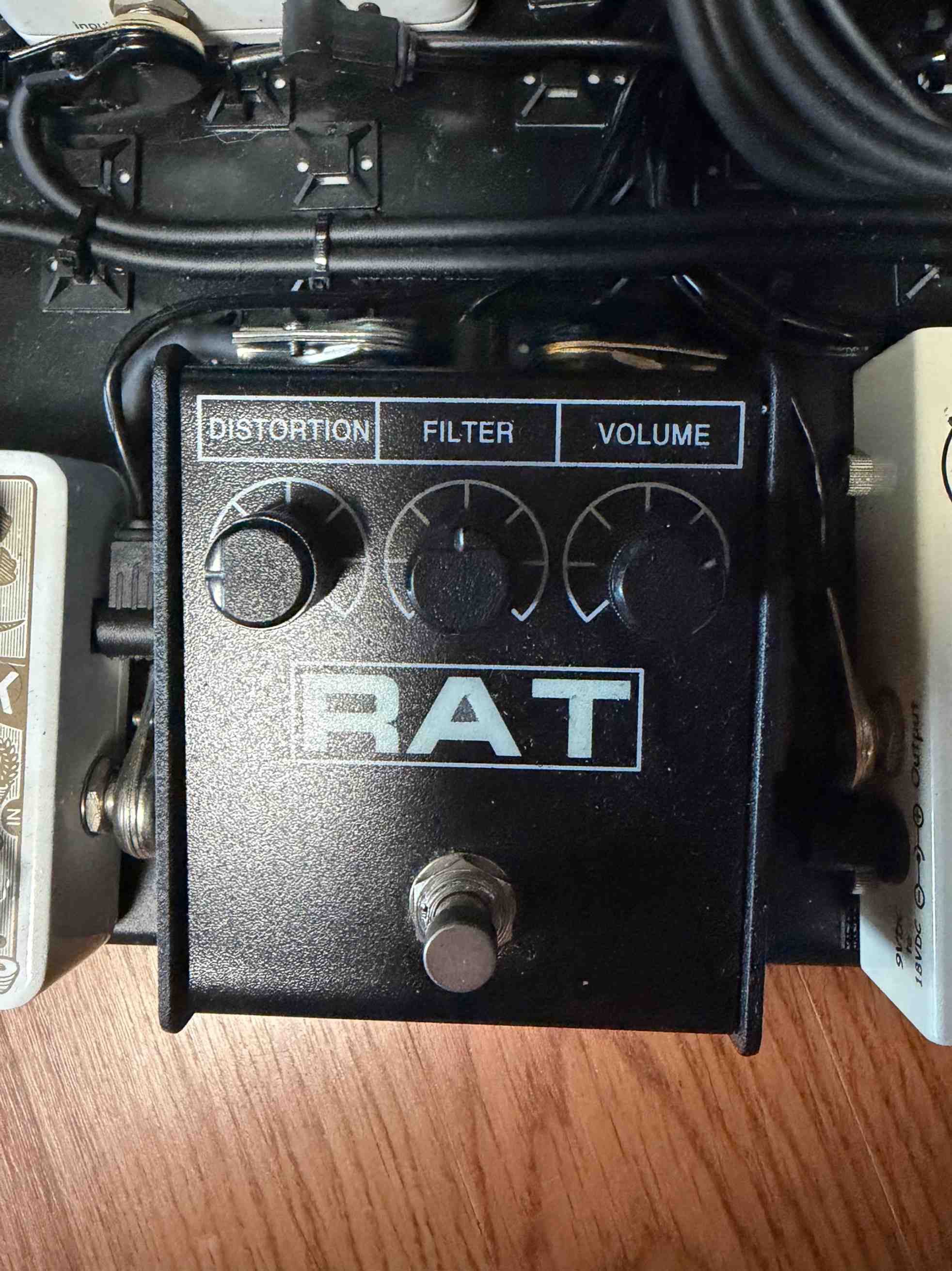 Rat 2