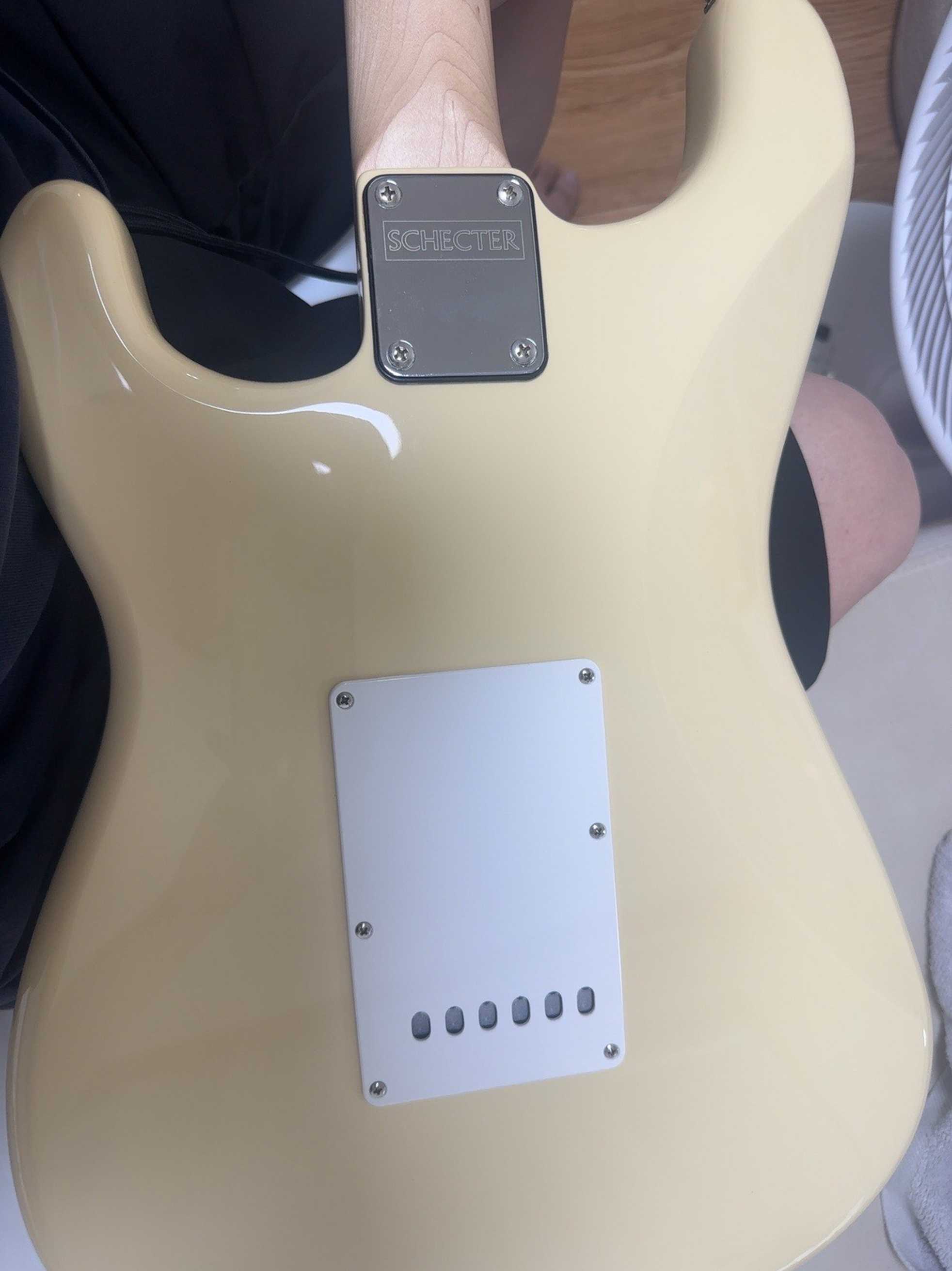 Schecter--3