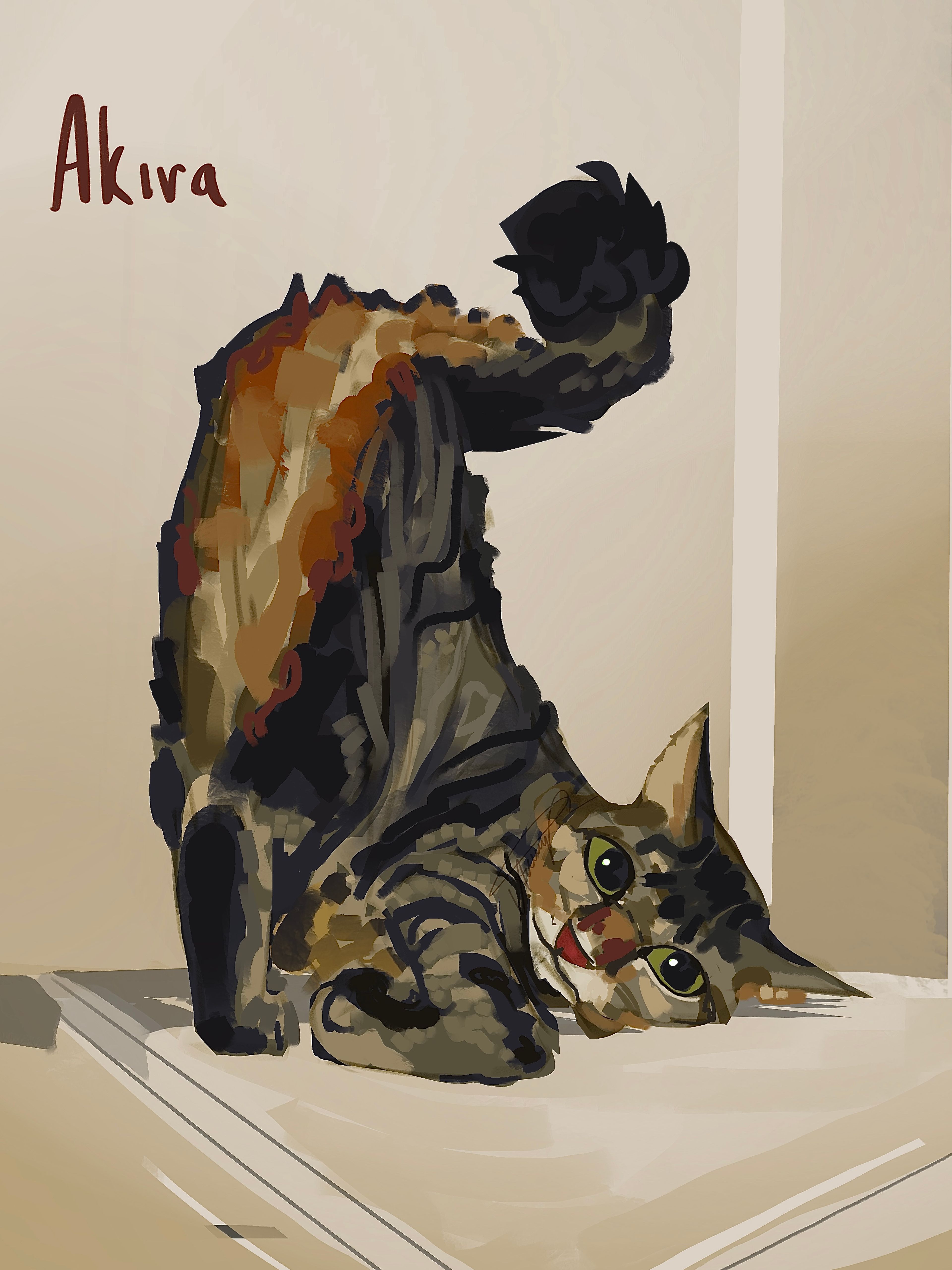 cat portrait in cool tones
