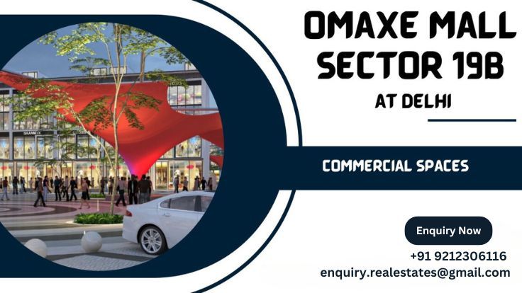 Omaxe Sports City Dwarka Investment Potential and Growth Forecast