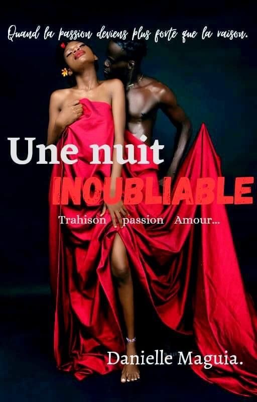Une nuit inoubliable. - Chapitre 1.