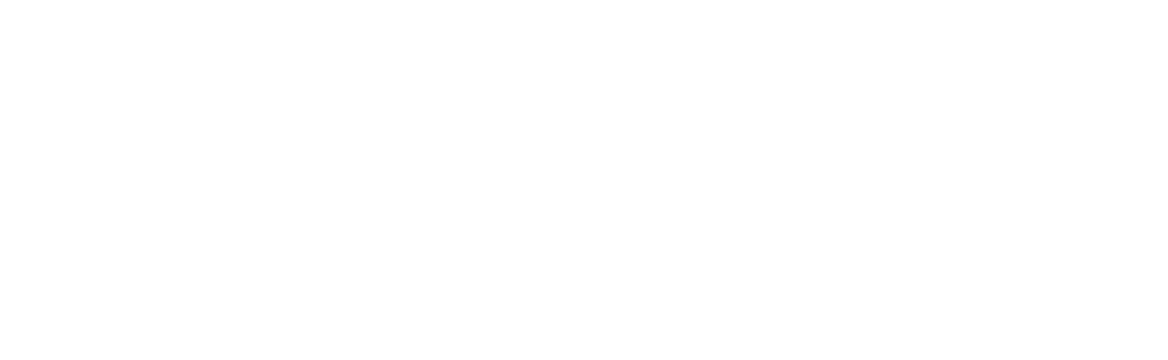 Alagemo - Better Design, Smarter Development