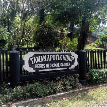 Taman Apotek Hidup Ceger Jakarta Timur Alamatcom