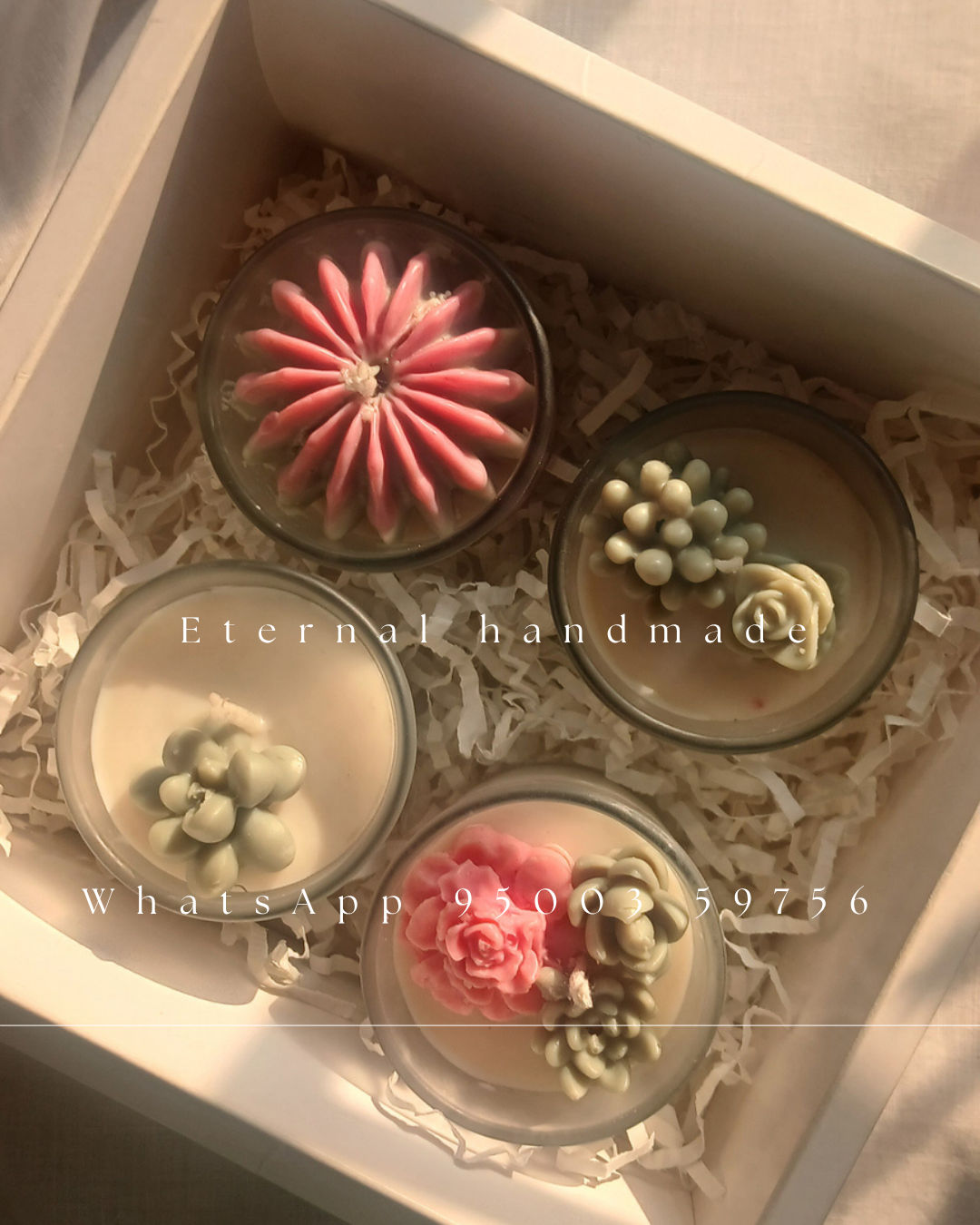 Cactus candles frost jar set