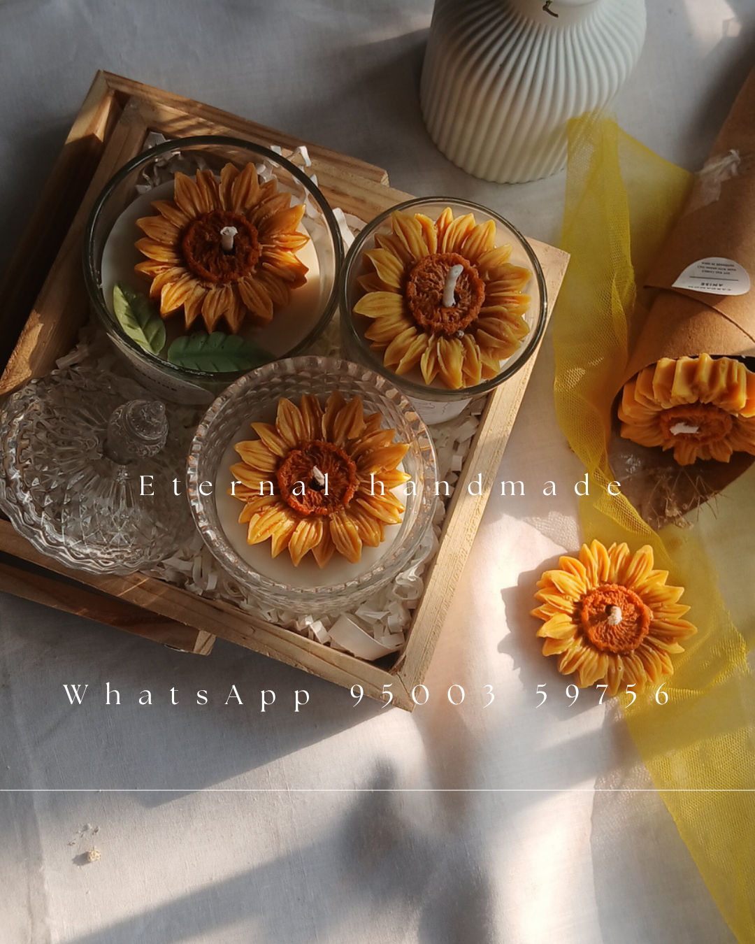 Sunflower Bloom