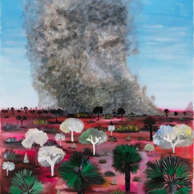 Fire Season - Renewal of Country
