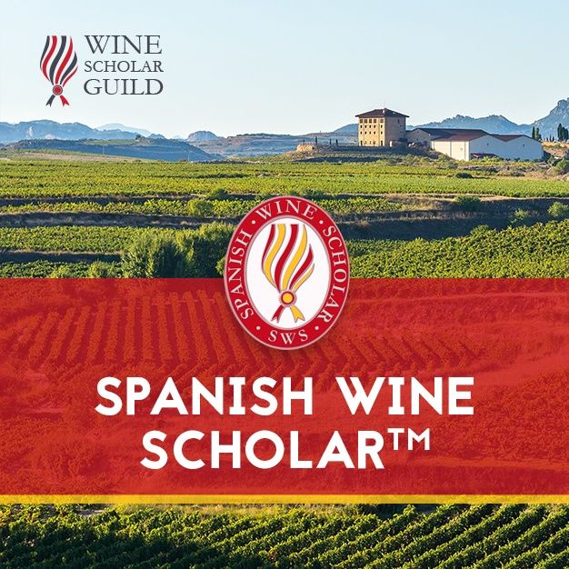 Spanish Wine Scholar – 西班牙葡萄酒学者认证课程 - Alexandre Ma