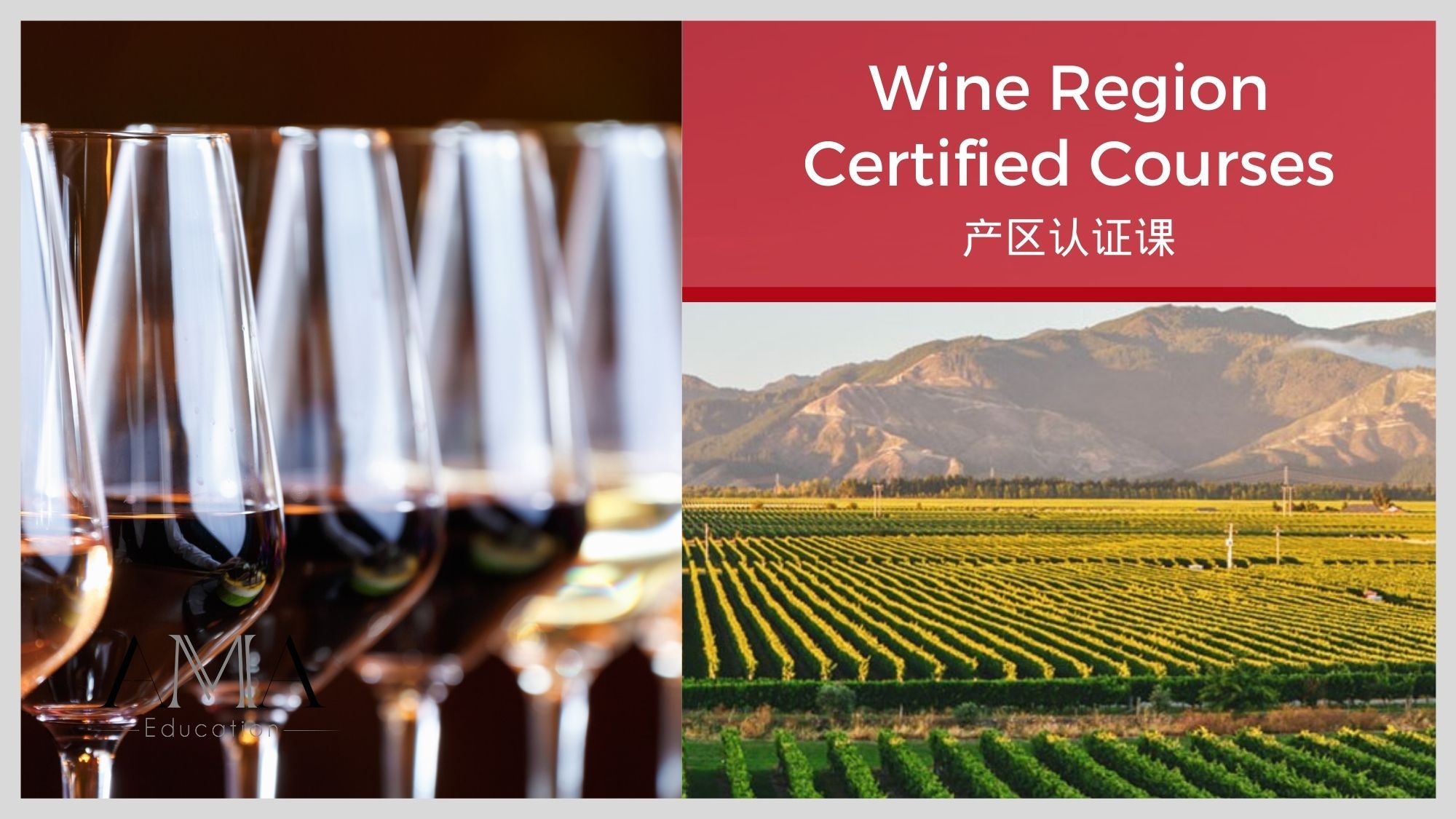 AMA Wine Region Certified Courses – AMA产区认证课程 - Alexandre Ma