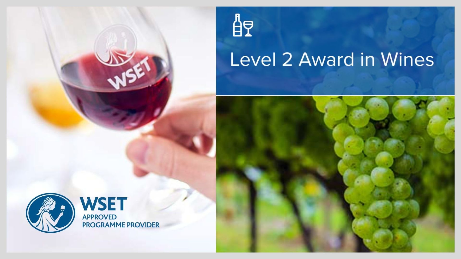 WSET Level 2 Award in Wines – WSET第二级葡萄酒认证课程 - Alexandre Ma