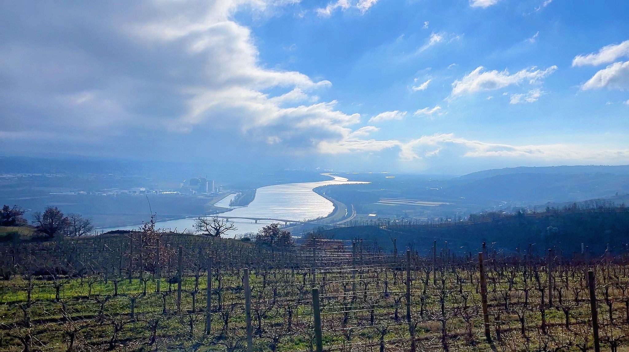 AMA Tasting Report – Condrieu 2019 and 2020 - Alexandre MA