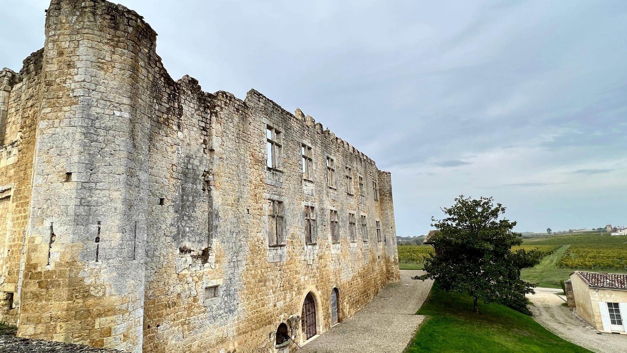 AMA Vertical Tasting-Château de Fargues (1998-2010) - Alexandre MA