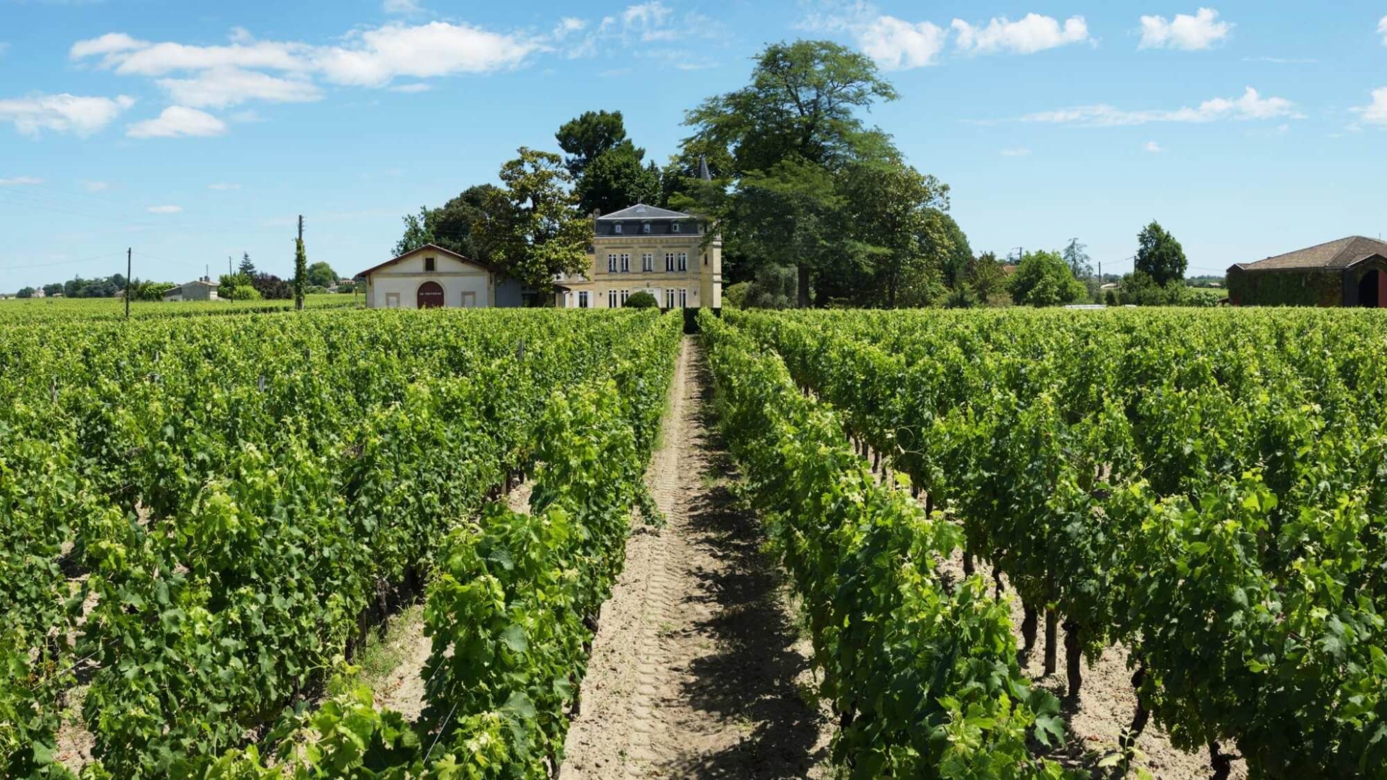 AMA Vertical Tasting-Château Château Yon-Figeac (2009-2020) 永卓古堡 - Alexandre Ma