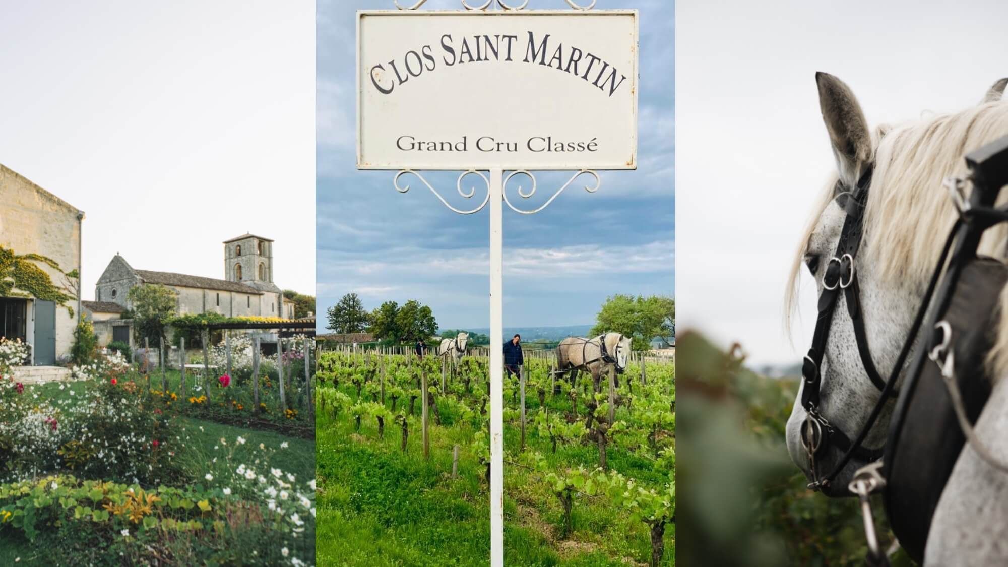 AMA Vertical Tasting-Clos Saint-Martin (2010-2021) 圣马丁酒庄 - Alexandre Ma