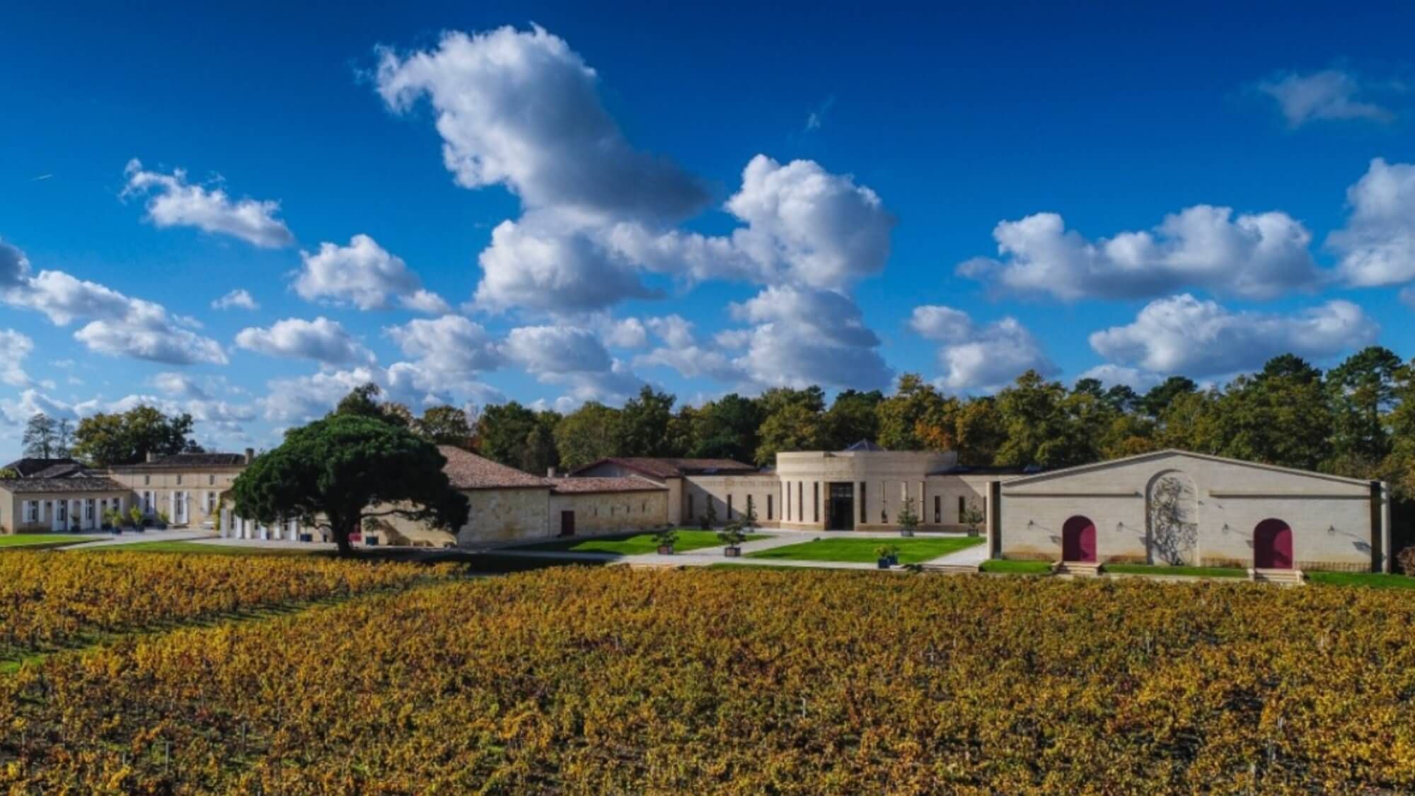 AMA Vertical Tasting-Domaine de Chevalier (1983-2022) - Alexandre MA