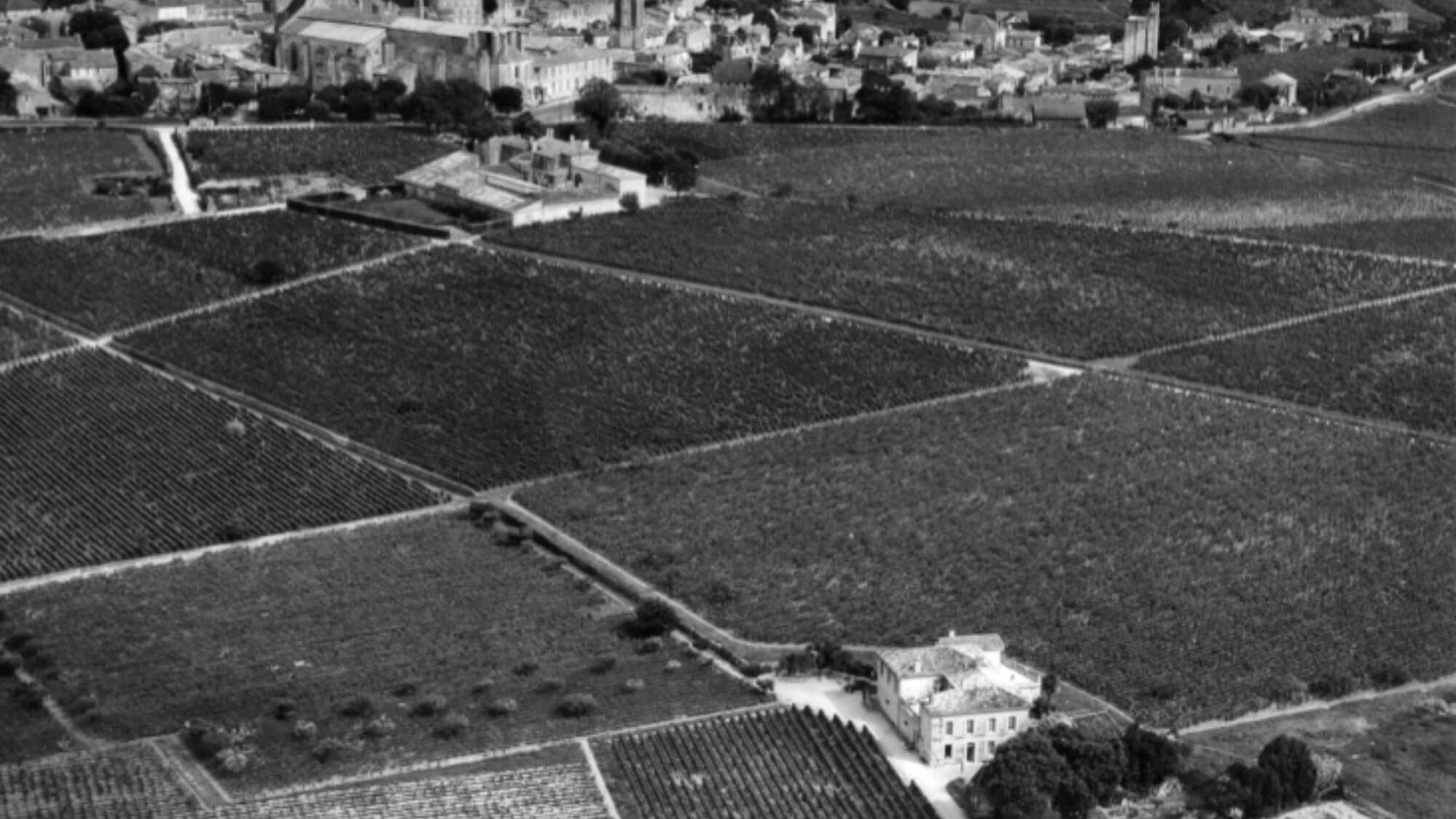 AMA Vertical Tasting-Château Le Chatelet - Alexandre MA