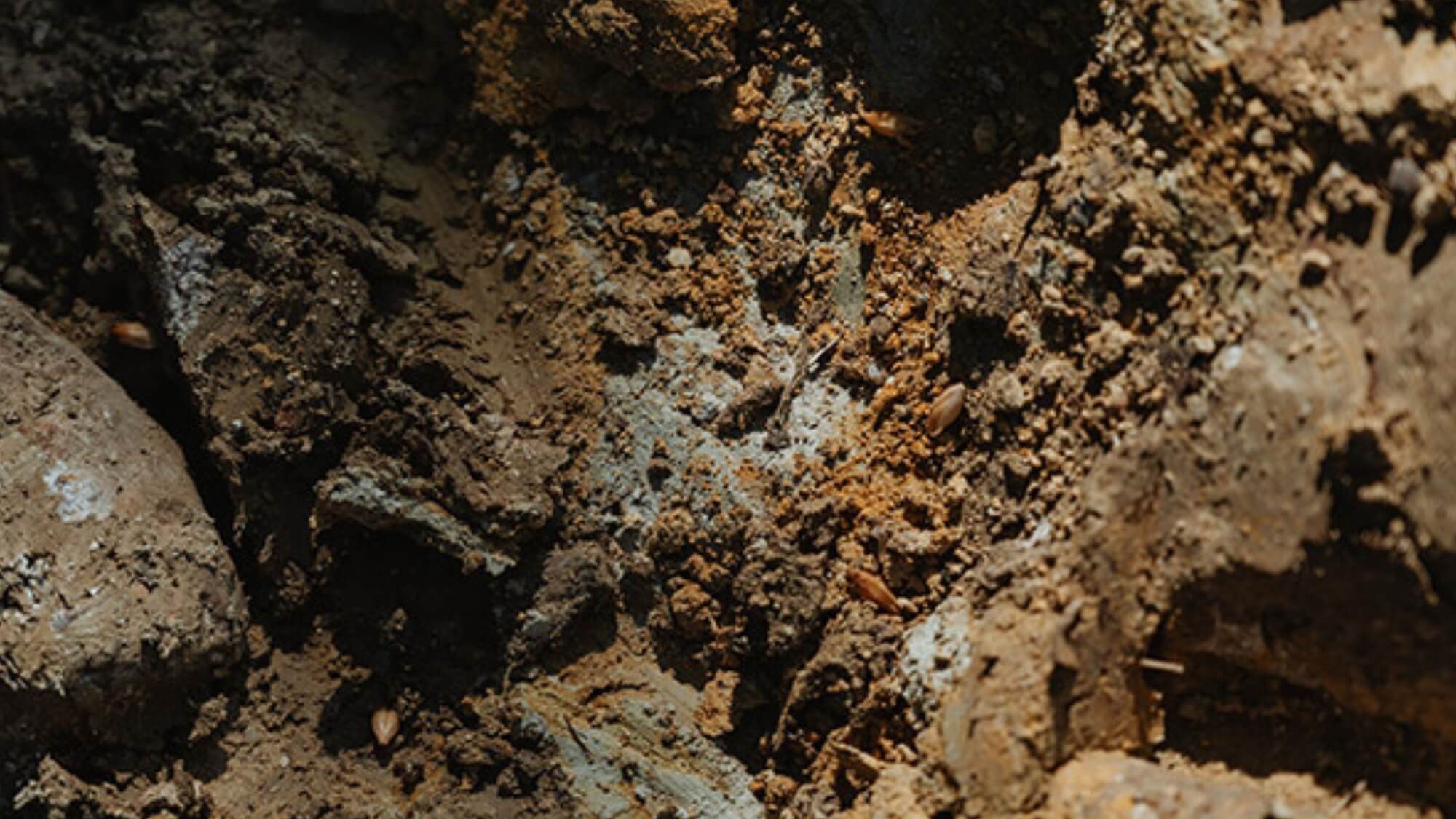 AMA Tasting Note-Château Larcis Ducasse Vertical Tasting (1959-2022) - Alexandre MA