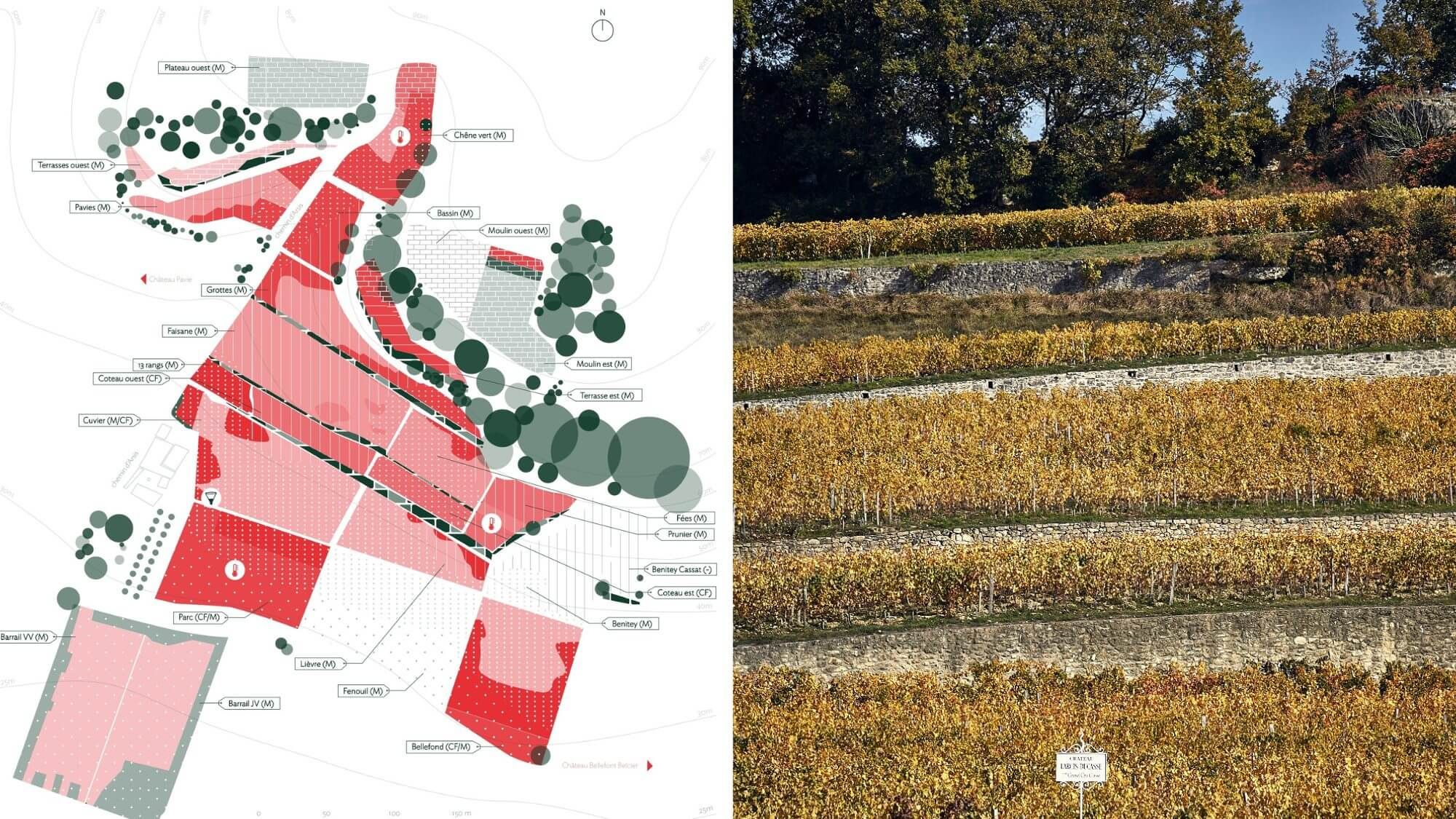 AMA Tasting Note-Château Larcis Ducasse Vertical Tasting (1959-2022) - Alexandre MA