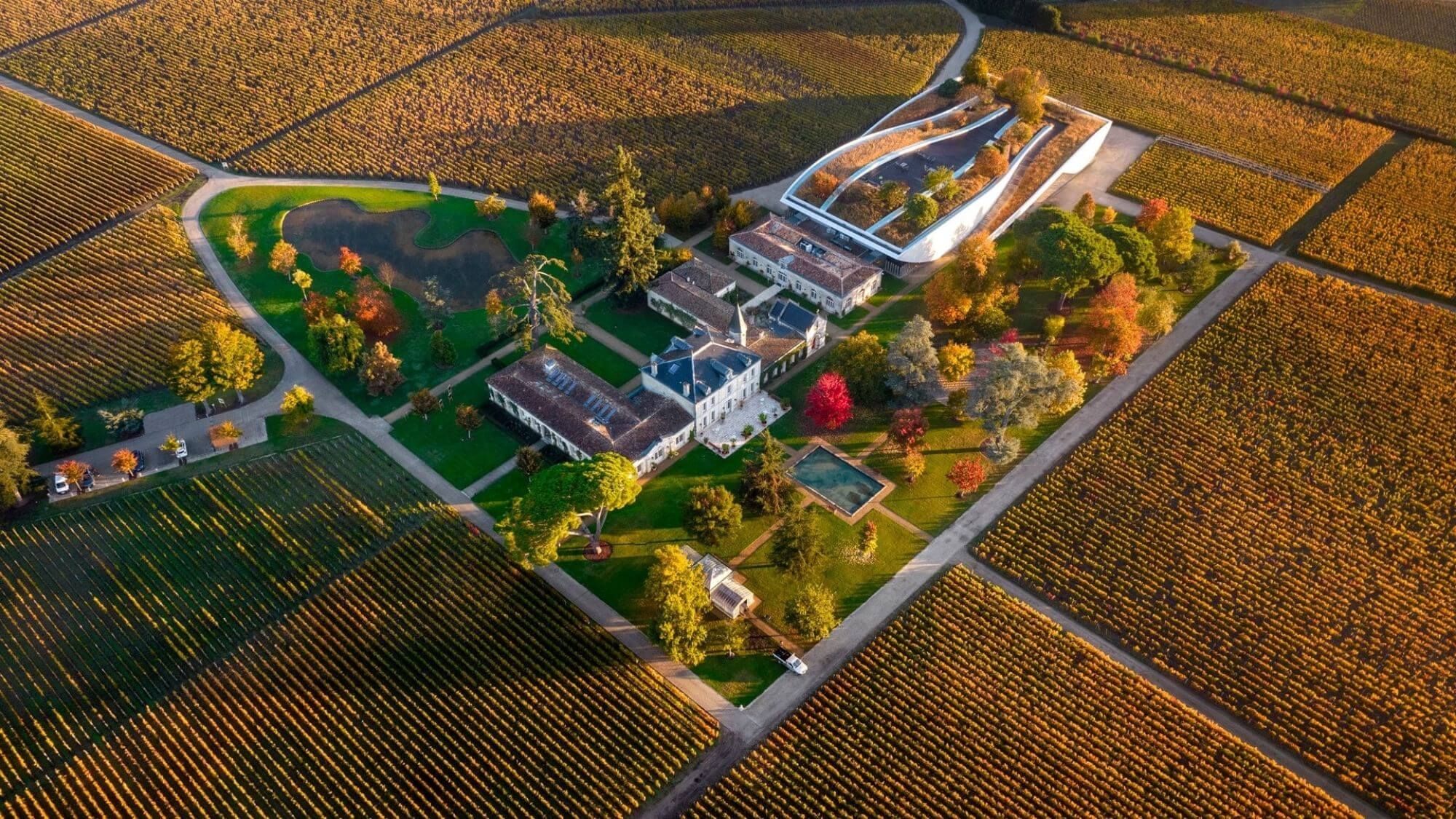 AMA Tasting Note-Château Cheval Blanc-Le Petit Cheval-Le Blanc (2019-2023) - Alexandre MA