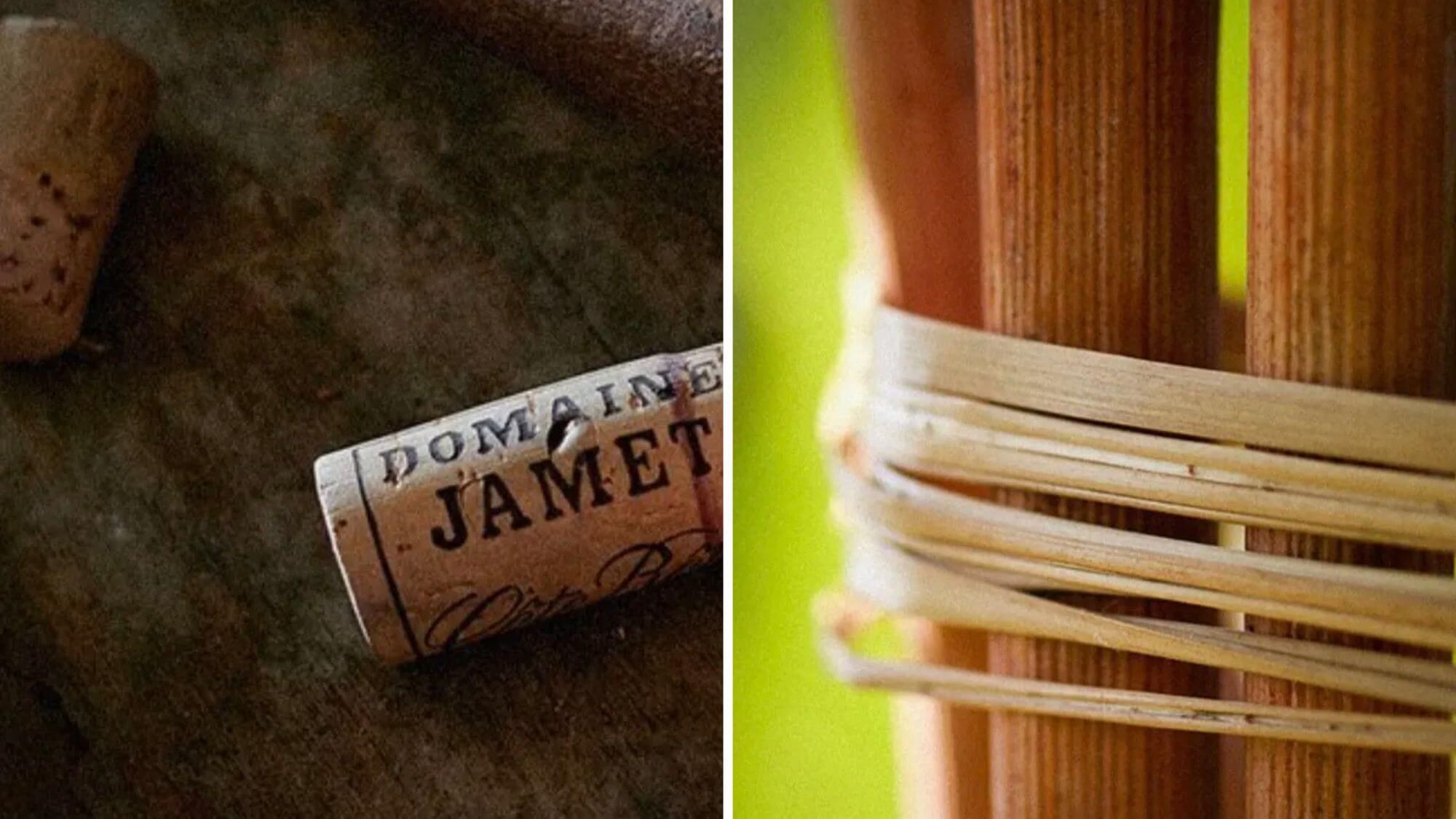 AMA Tasting Note-Domaine Jamet (2011-2022) - Alexandre MA