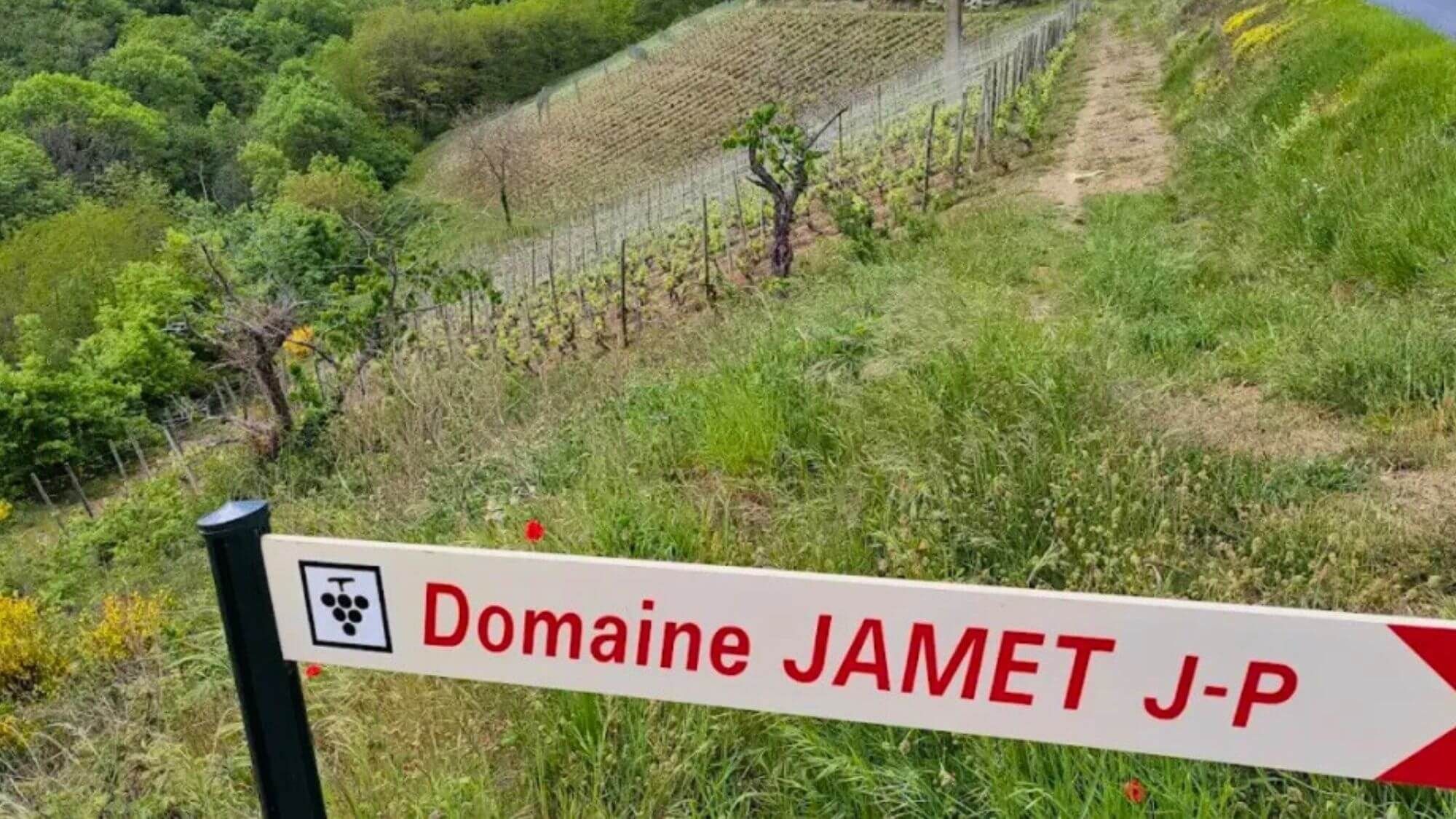 AMA Tasting Note-Domaine Jamet (2011-2022)-杰美特酒庄垂直品鉴 - Alexandre Ma