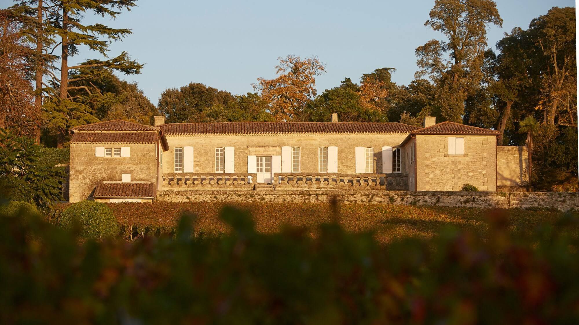 AMA Tasting Note-Château Bellevue AMA Tasting Note- (2001-2023) - Alexandre MA