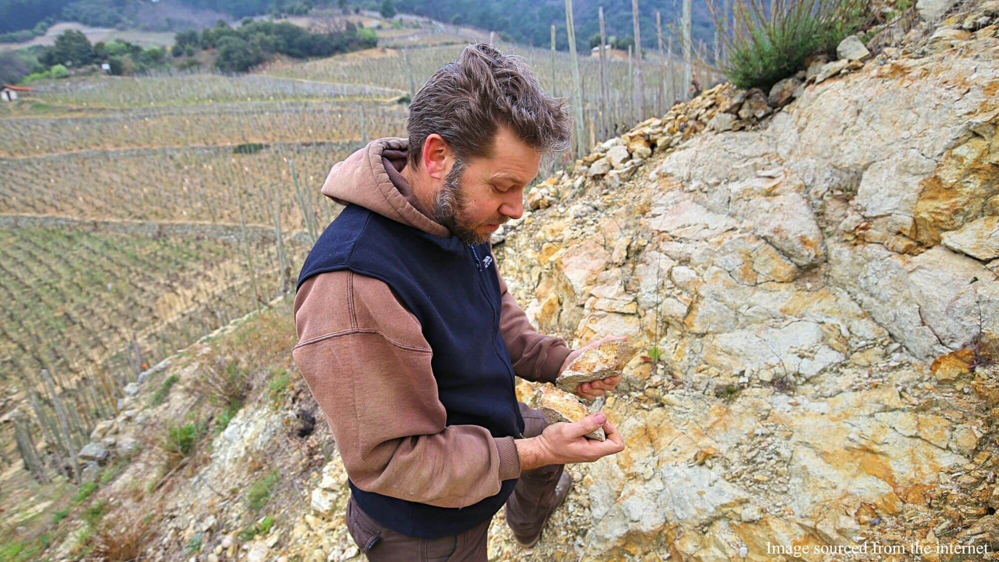 AMA Tasting Notes-Domaine Auguste Clape (2013-2021) - Alexandre MA