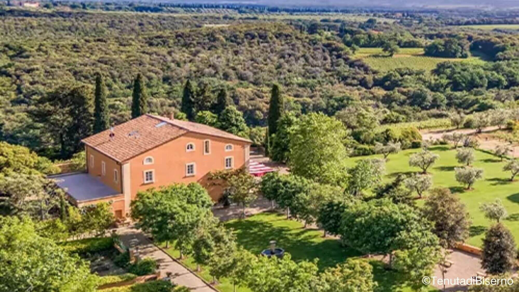 AMA Tasting Notes-Tenuta di Biserno (2008-2023) - Alexandre MA