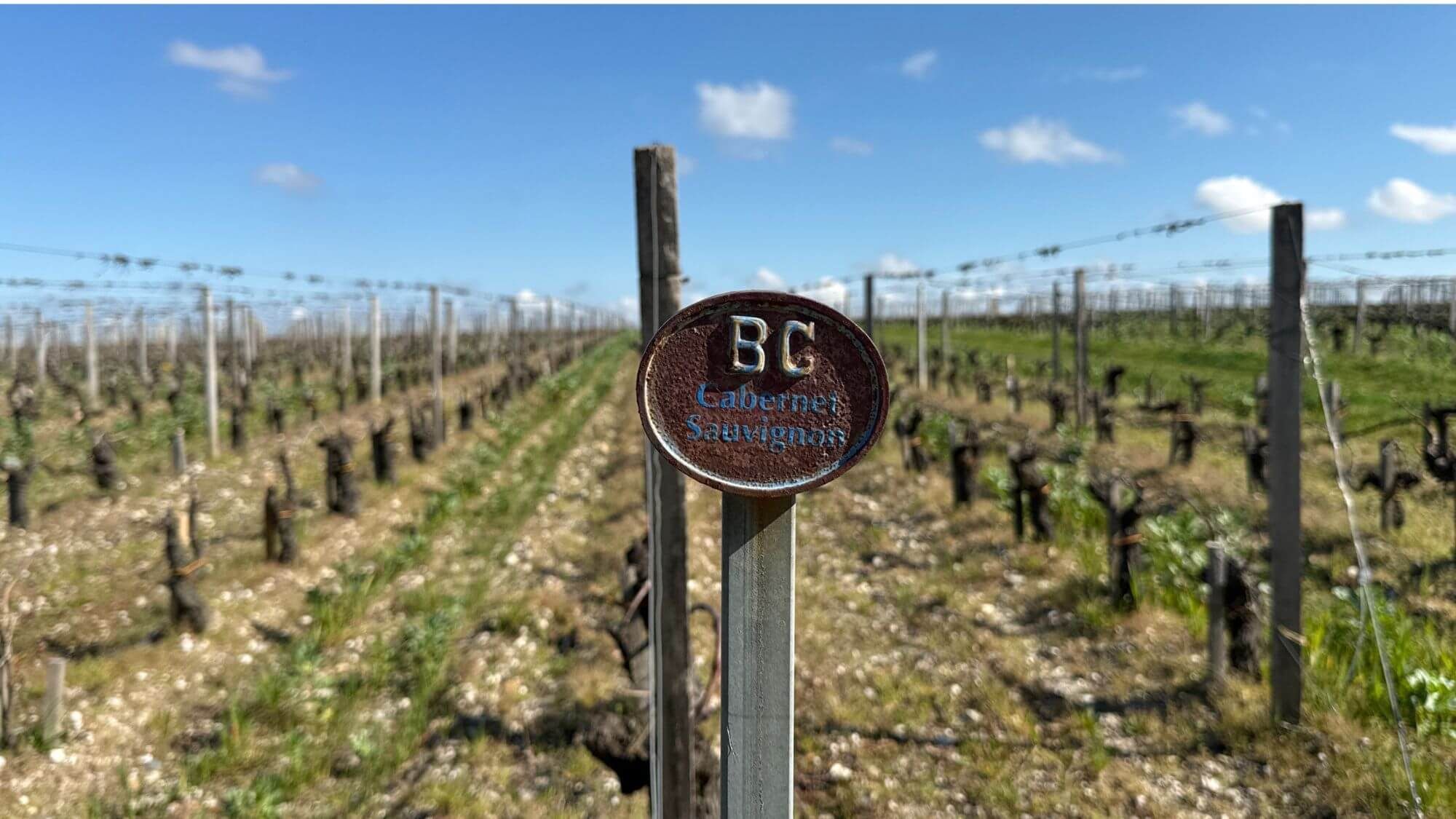 AMA Tasting Notes-Château Brane-Cantenac (1992-2023) - Alexandre MA