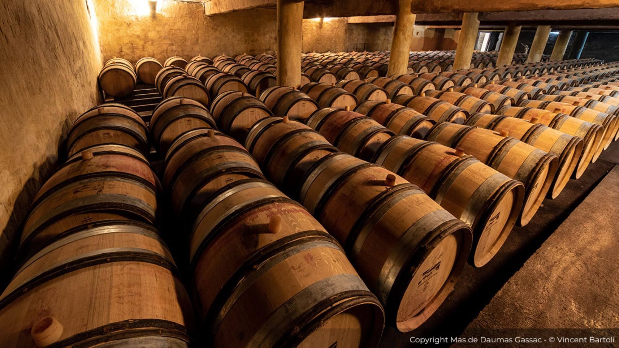 AMA Tasting Note-Mas de Daumas Gassac (1988-2024) - Alexandre MA