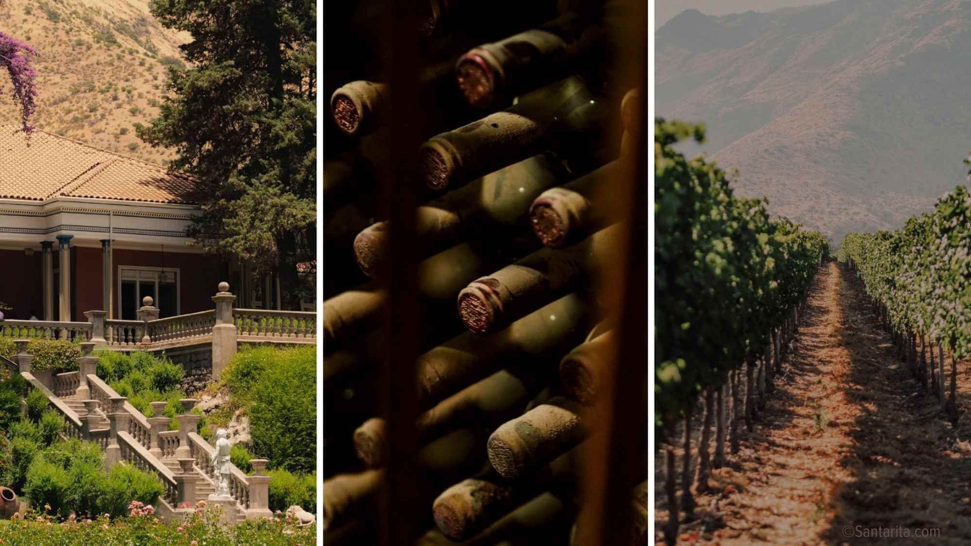AMA Tasting Notes-Santa Rita Casa Real - Alexandre MA
