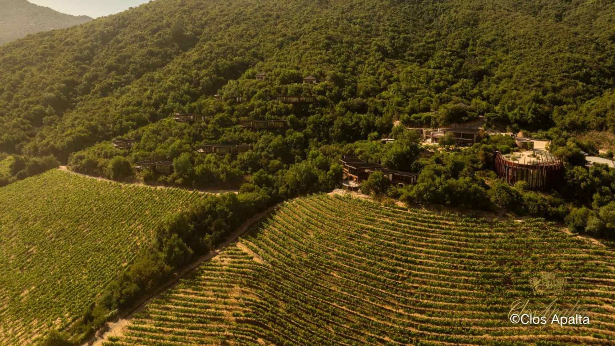 AMA Tasting Note-Clos Apalta(1999-2023) - Alexandre MA