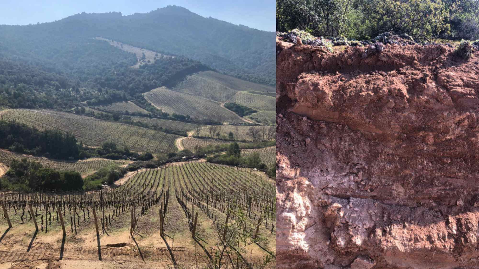 AMA Tasting Note-Clos Apalta(1999-2023) - Alexandre MA