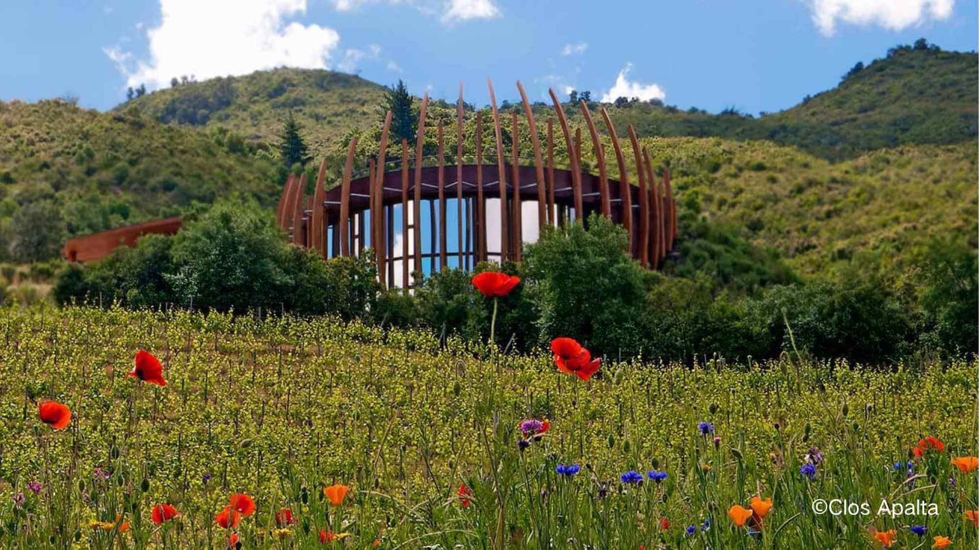 AMA Tasting Note-Clos Apalta(1999-2023) - Alexandre MA