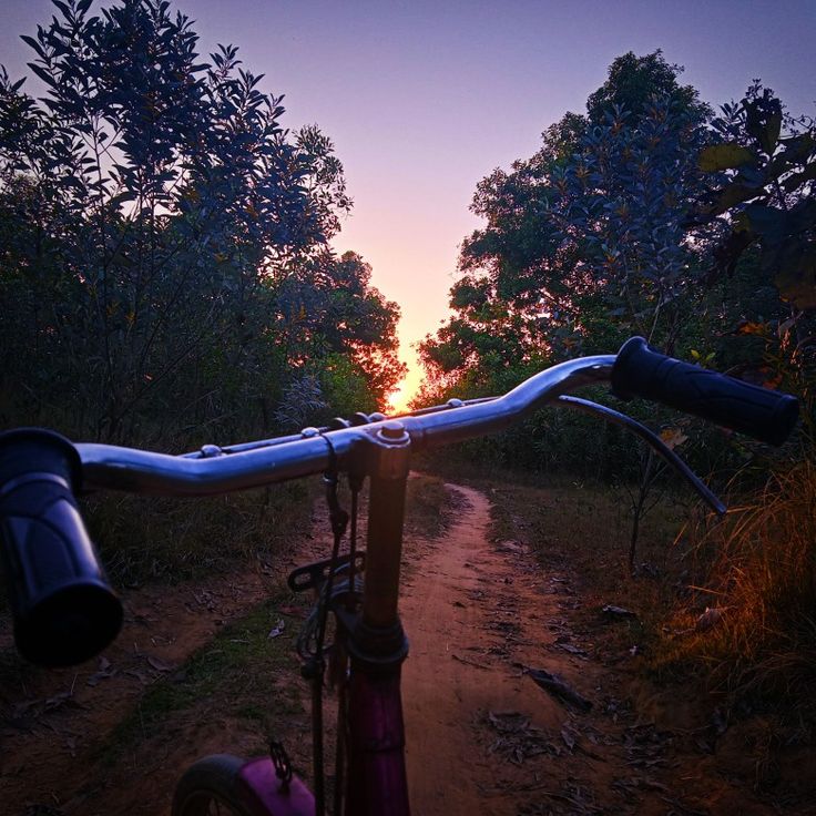 Nature Sunset