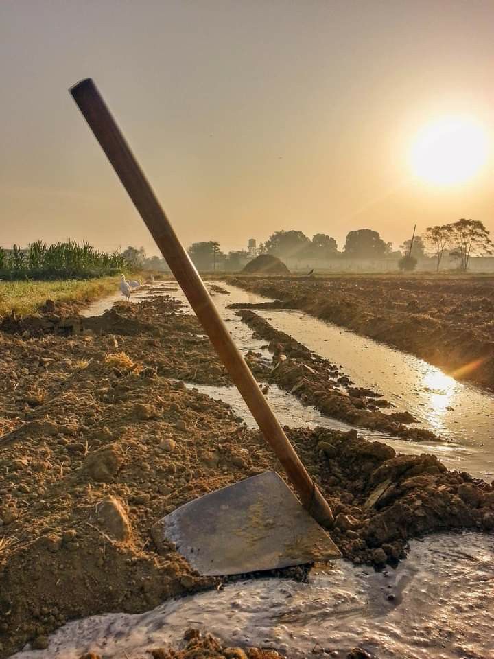 Farming