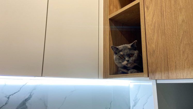 IMG_6007 Кухня №230