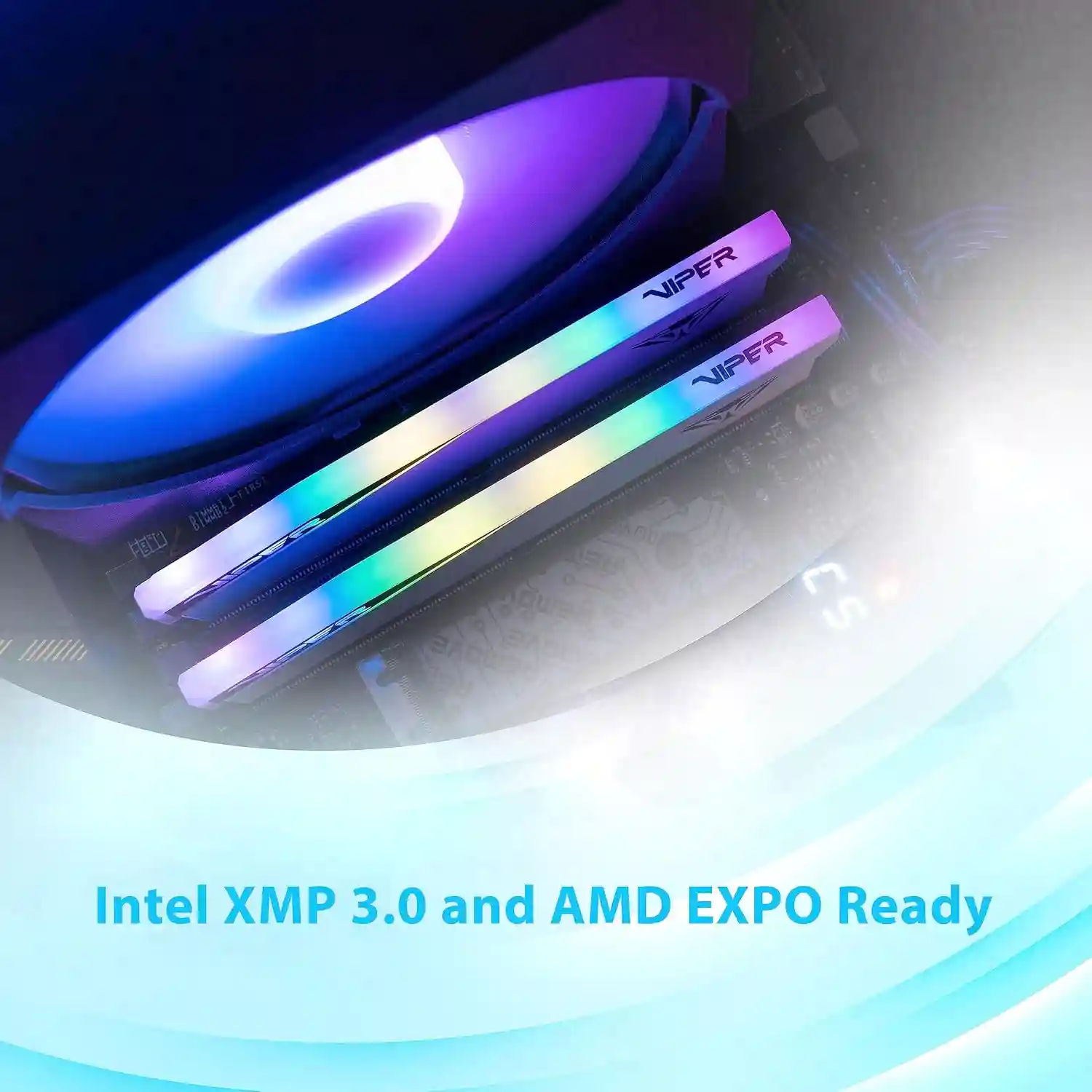 Patriot Viper Elite 5 32GB (2x 16 GB) DDR5 6000MHz RGB Desktop Memory – White