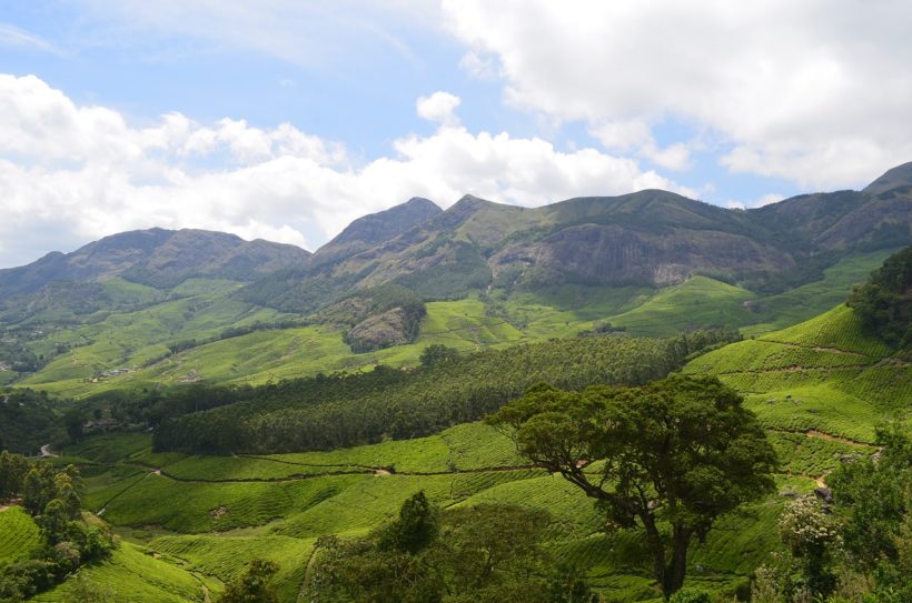 munnar-2259072_1280