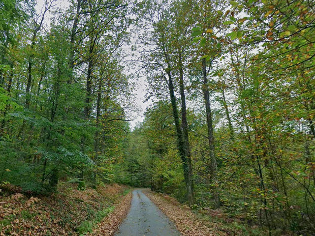 Réseau forêt limousine