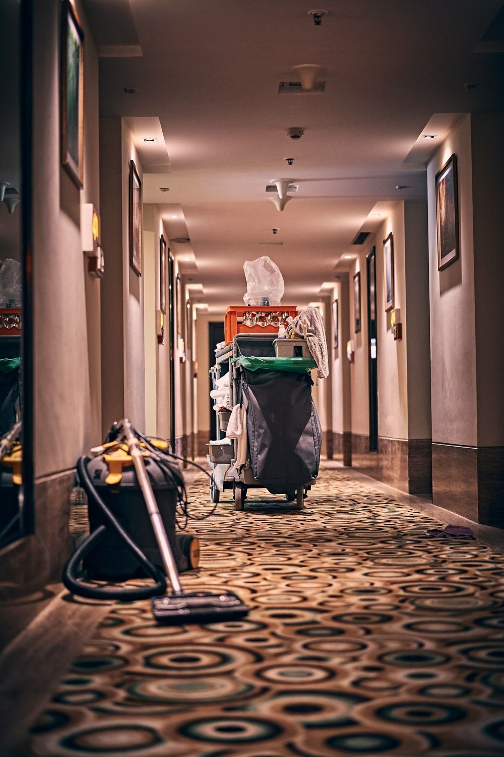 FAQS about Carpet Cleaning Services in Oak Forest, IL