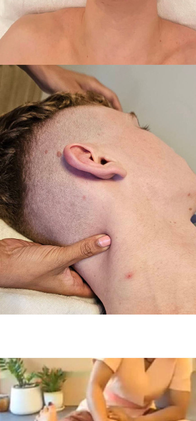 HEAD / NECK / SHOULDERS