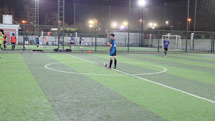 Crystal Sport Fields Picture