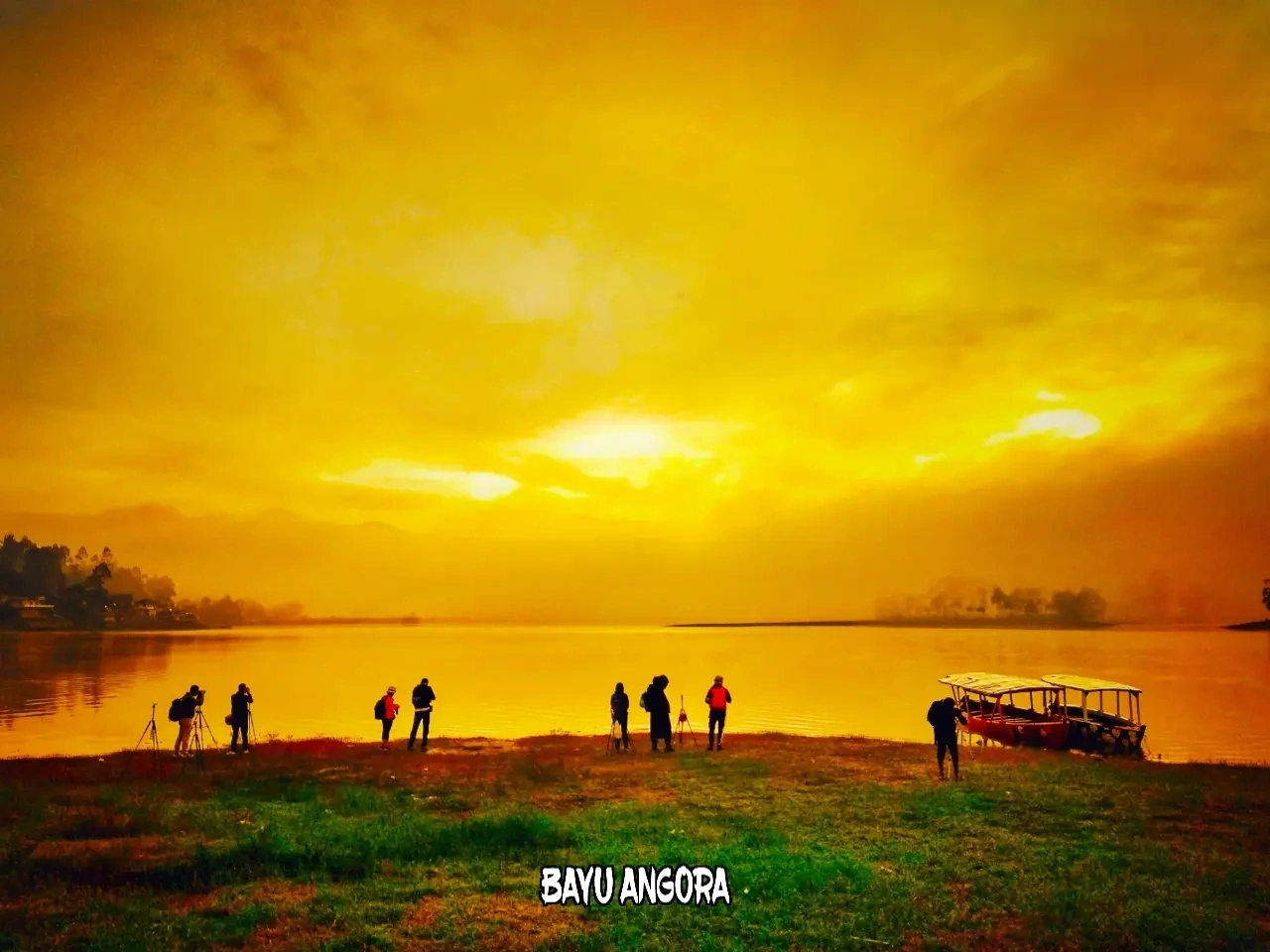 Bayu Angora - Golden Moment